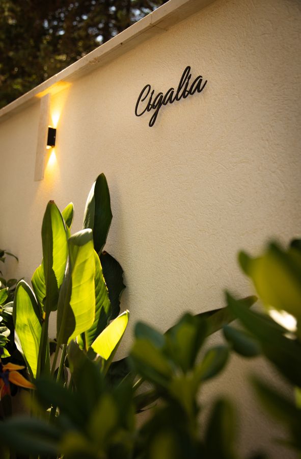 L'enseigne Cigalia éclairée à la tombée du jour